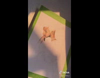 Girl draws drake colored pencils louis vuitton