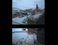 Man slips fall down stairs with dog