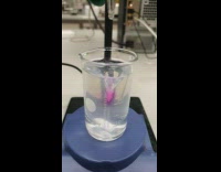 Whirlpool water apparatus dissolve purple liquid capsule