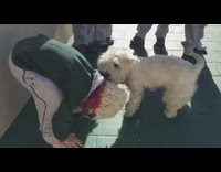 MUSIC white dog takes off little girls beanie 