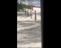 Woman in bikini kneel for beach shoot