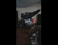 Pet cat jumps on hammock but failed and fell