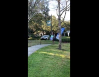 Woman realtor with signages poses on yard