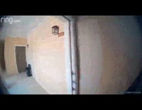 Ring security cam of woman who runs into her own door