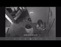 BitchMP - Dog escapes house chases guy security camera