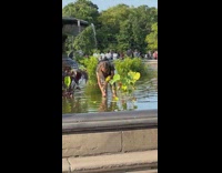 Man picks flowers or leaves on the fountain at the park
