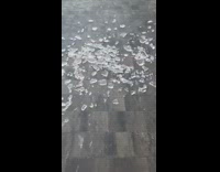 Chunk of ice dropped in bricked floor shattered Part 2