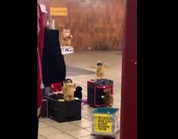 Subway performer plays george michaels on saxophone