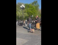 Dog in pink stands on skateboard 