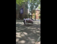 Woman push two giant mattress on shopping cart