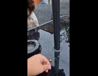 Dog loves stone plays inside the mouth