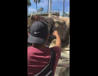 Seal tricked by a man throws fish treat hits head