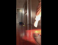 Slow motion white cat chasing feather toy 