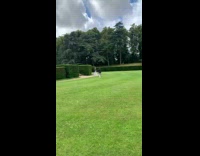 Woman removes jacket run around the field