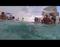 Stingray bites GoPro thought it was food