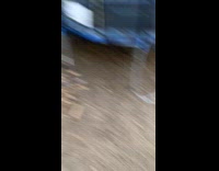 Man throws knife to tree log breaks