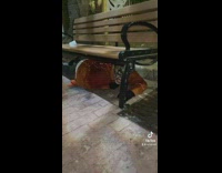 Orange jacket mask guy hiding under bench 