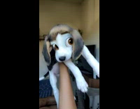 Beagle puppy dog disney character eyes filter 