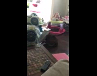 Grey cat has head stuck inside of flat post office box