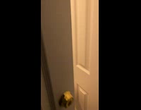 Woman shows aftermath of labradoodle going wild