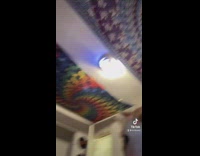 Girl flips camera and shows her cat phone 