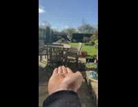 Slow motion bird land on palm with worm