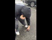 Guy on phone slips on icy driveway on phone 