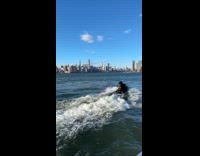 Couple wearing gorilla and jayson vorhees costumes on jetski 