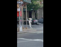 Human Statue pillar on head cross street
