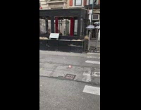 Run over rat on street by restaurants 