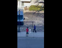Collab PubityPets - Dog on a leash stand and run with owner at the sidewalk