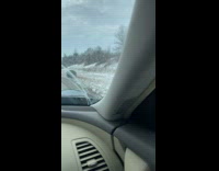 Friends rescued Christmas Tree on the road