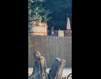 Blue shirt girl tiktok dances wood deck