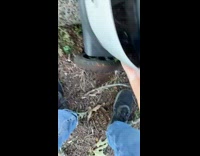 Guy saves white food delivery robot on sidewalk 