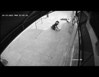 Security footage guy fall down from scooter