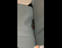 Collab WINY - Person put feet through the train seat