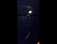 Raccoon inside subway train tunnel