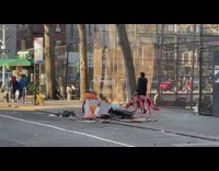 man with dog covered in red green paint