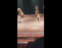 Performance kids school trex laying on floor 