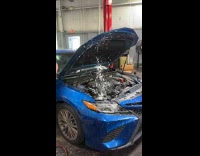 Man does car diagnostic with green joke audio