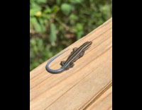 Woman reacts spotted skink on a hike