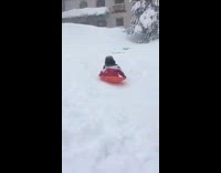 Girl sled and crashes on tree leaves