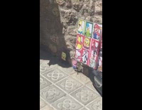 Peppa pig and spongebob paper toy dancing to music on sidewalk 