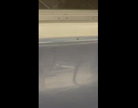 Cockroach climbing on an empty subway train seat 
