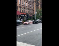 Pink car got vandalized need botox fund