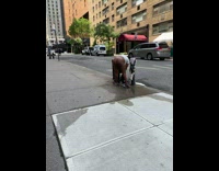 Half naked person washes their clothes from open hydrant 