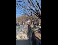 Guy rides tall green bicycle around park 