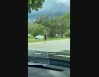 Man helps turtle to cross the street