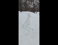 Kangaroo shaped snowman at the park