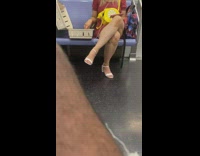 Lady pets bunny on train 